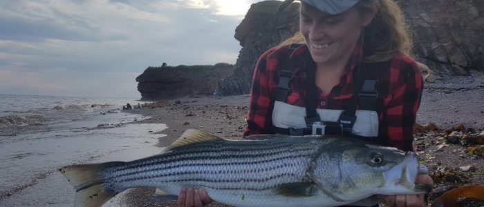 Pêche au bar rayé en Gaspésie